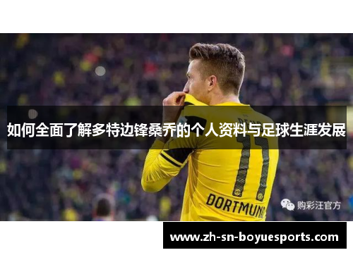 如何全面了解多特边锋桑乔的个人资料与足球生涯发展