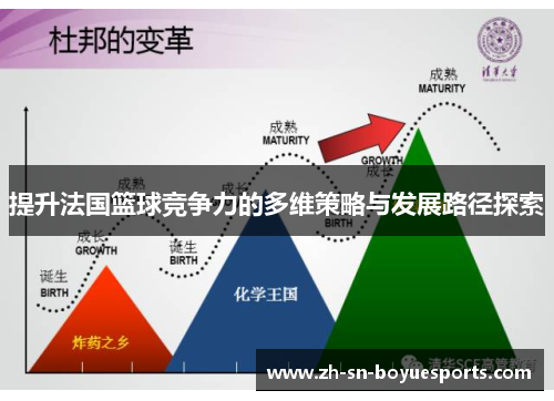 提升法国篮球竞争力的多维策略与发展路径探索 提升法国篮球竞争力的多维策略与发展路径探索