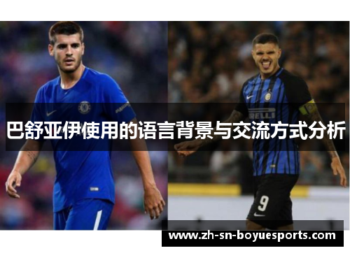 巴舒亚伊使用的语言背景与交流方式分析 巴舒亚伊使用的语言背景与交流方式分析