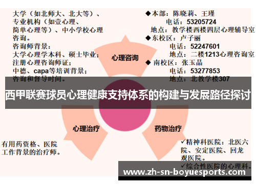 西甲联赛球员心理健康支持体系的构建与发展路径探讨 西甲联赛球员心理健康支持体系的构建与发展路径探讨